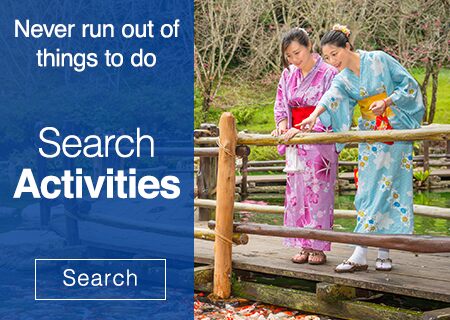 Search Activities