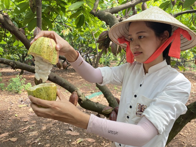 Cacao カカオを知り尽くそう カカオ農園 チョコレート工房見学ツアー q昼食付き ホーチミン ベトナム のお得なオプショナルツアー Hisgo バングラデッシュ