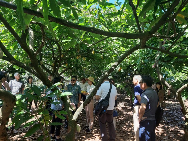 Cacao カカオを知り尽くそう カカオ農園 チョコレート工房見学ツアー q昼食付き ホーチミン ベトナム のお得なオプショナルツアー Hisgo バングラデッシュ