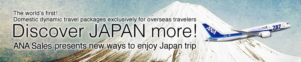 ANA Discover JAPAN Free & Easy