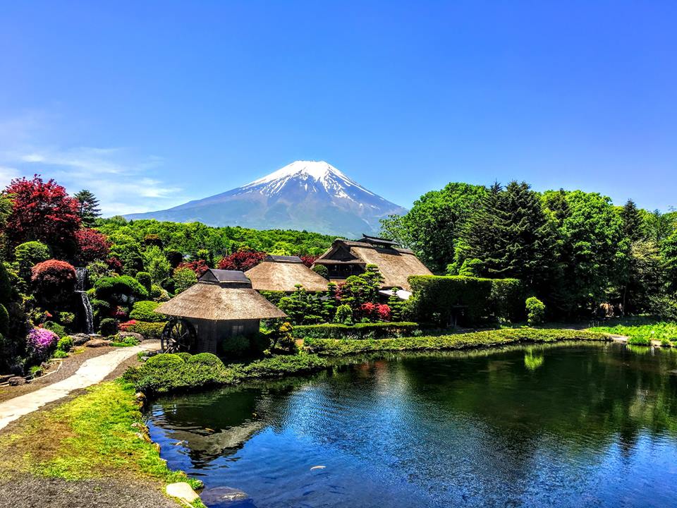 mt fuji lake kawaguchi tour