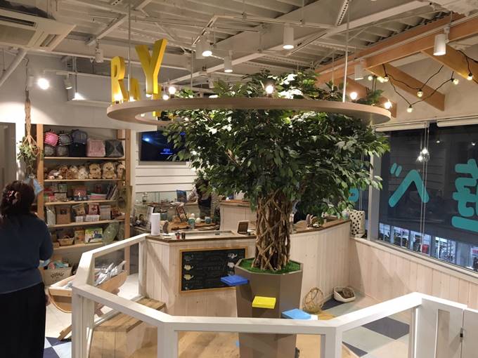 Chinchilla, Otter & Hedgehog Cafe! Playing with many cute animals