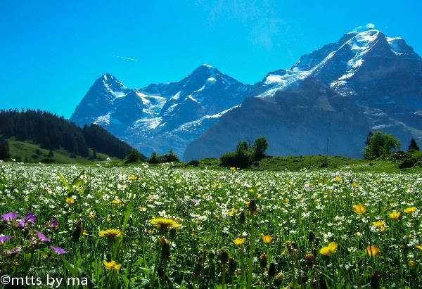 ミューレン発 プライベートツアー 日本語ガイドと行く ノースフェイストレール 歩行所要約 2 5 時間 中級 午前 午後発 Things To Do In Muerren Switzerland Hisgo Tic