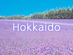 hisgo Hokkaido