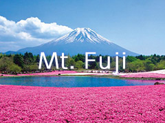 hisgo MtFuji