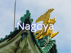 hisgo Nagoya