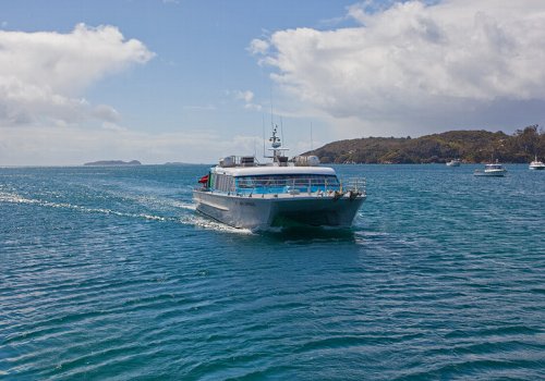 インバーカーギルへの片道バス フェリーチケット スチュアート島 ニュージーランド のお得なオプショナルツアー Hisgo ネパール インバーカーギルへの片道バス フェリーチケット スチュアート島 ニュージーランド のお得なオプショナルツアー Hisgo ネパール