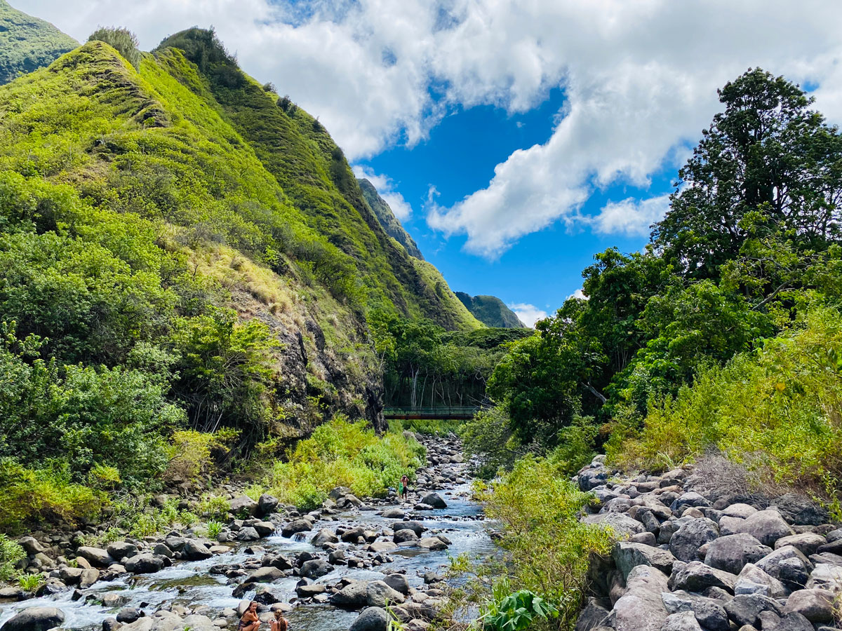 カゼ マウイ マウイ島半日観光 イアオ渓谷 砂糖博物館 ラハイナタウン散策 マウイ島 ハワイ アメリカ のお得なオプショナルツアー Hisgo ネパール