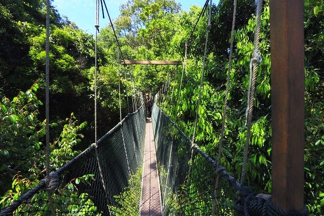 マレーシア在住者限定 Mutiara Taman Negera Resortに泊まる タマンネガラアクティビティコンボ2泊3日パッケージ クアラルンプール マレーシア のお得なオプショナルツアー Hisgo ポーランド マレーシア在住者限定 Mutiara Taman Negera Resortに泊まる タマンネガラアクティビティコンボ2泊3日パッケージ クアラルンプール マレーシア のお得なオプショナルツアー Hisgo ポーランド