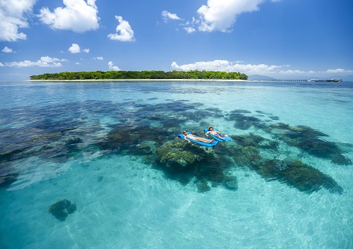 グリーン島ディスカバリー ケアンズ オーストラリア のお得なオプショナルツアー Hisgo ロシア