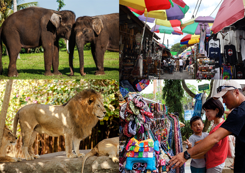 ウブド De 動物園 ランチ バリ島 インドネシア のお得なオプショナルツアー Hisgo トルコ