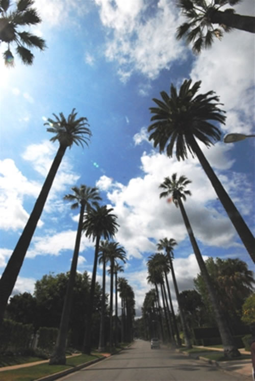 ポールゲッティー美術館とビバリーヒルズ豪邸巡り ロサンゼルス アメリカ合衆国 のお得なオプショナルツアー Hisgo トルコ