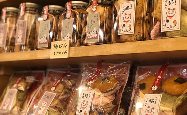 Tokyo's #1 Family Food Tour in Asakusa, Half-Day Walking Tour