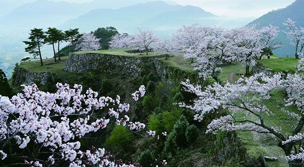 Takeda Castle Ruins - Japan’s Most Spectacular Views