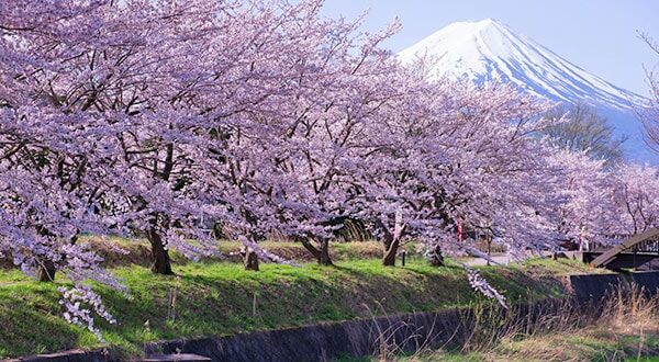Mount Fuji - Japan’s Most Spectacular Views