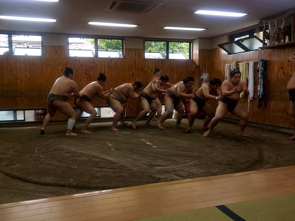 sumo morning training tour