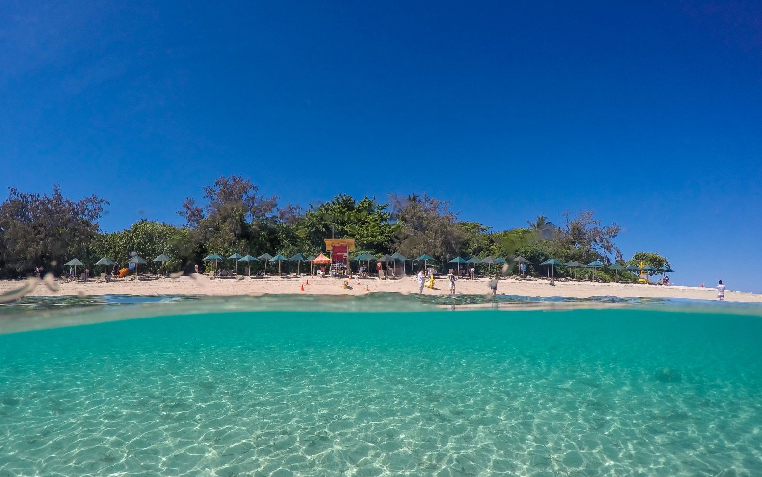 グリーン島ディスカバリー ケアンズ オーストラリア のお得なオプショナルツアー Hisgo アメリカ