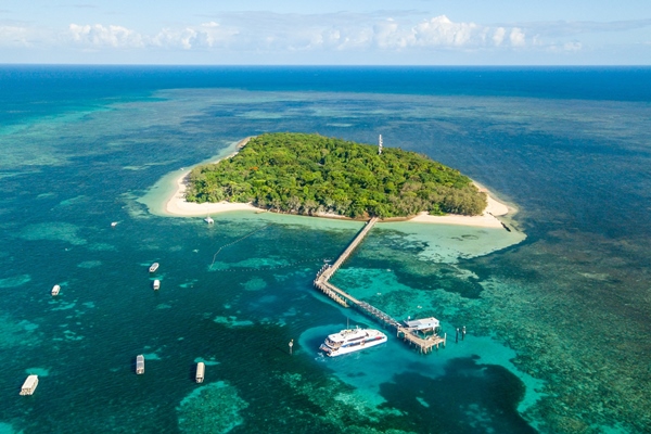 グリーン島エコアドベンチャー ケアンズ オーストラリア のお得なオプショナルツアー Hisgo アメリカ