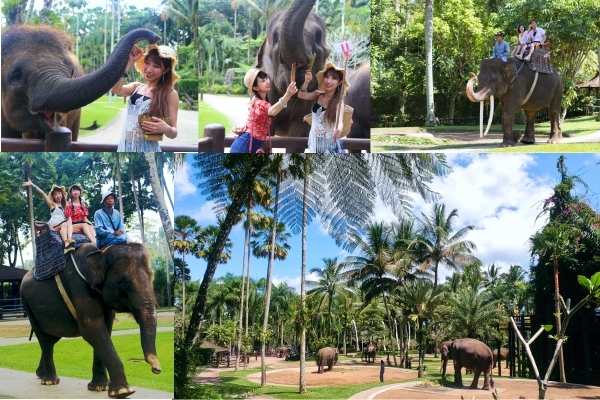 象の楽園 エレファントサファリパーク ロッジatウブド タロ村 バリ島 インドネシア のお得なオプショナルツアー Hisgo アメリカ