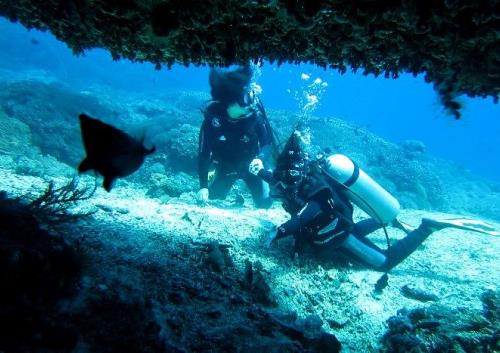 スキューバダイビング Padi オープンウォーターダイバー ライセンス取得コース 3日間コース バリ島 インドネシア のお得なオプショナルツアー Hisgo アメリカ スキューバダイビング Padi オープンウォーターダイバー ライセンス取得コース 3日間コース バリ島 インドネシア のお得なオプショナルツアー Hisgo アメリカ