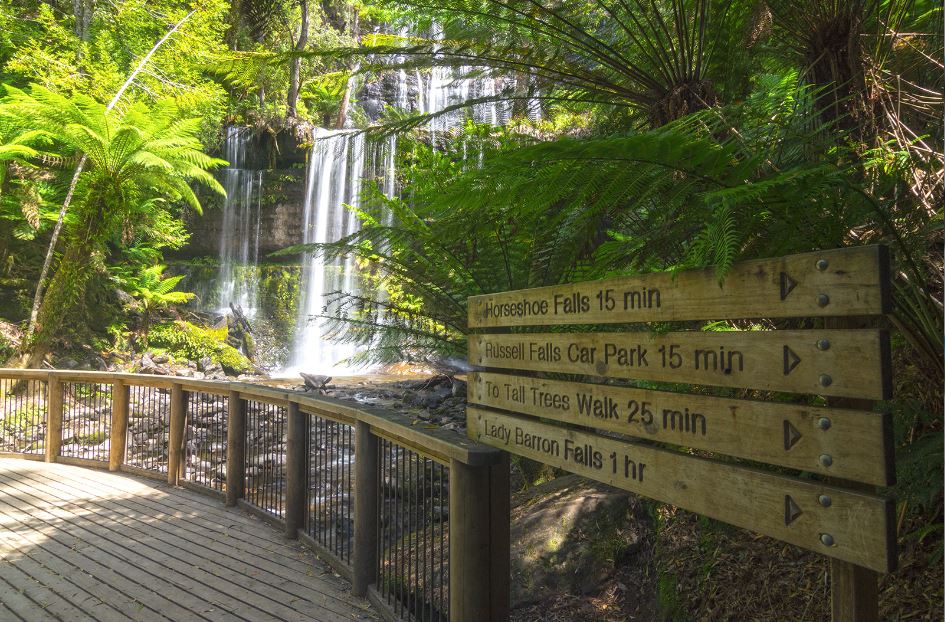 日本語ガイド タスマニア最古の公園マウントフィールド散策とデビルと学ぶ動物保護 タスマニア島 オーストラリア のお得なオプショナルツアー Hisgo アメリカ