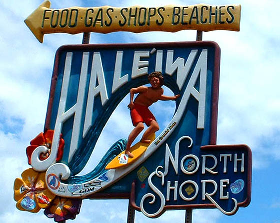 ノースショア観光フリープラン ホノルル オアフ島 ハワイ アメリカ のお得なオプショナルツアー Hisgo アメリカ