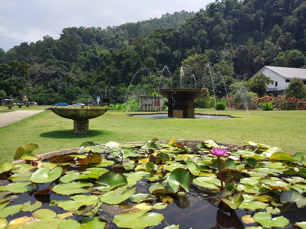 ペナン植物園 エントピア バタフライファーム ツアー 昼食は付きません ペナン島 マレーシア のお得なオプショナルツアー Hisgo アメリカ ペナン植物園 エントピア バタフライファーム ツアー 昼食は付きません ペナン島 マレーシア のお得なオプショナルツアー Hisgo アメリカ