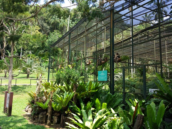 ペナン植物園 エントピア バタフライファーム ツアー 昼食は付きません ペナン島 マレーシア のお得なオプショナルツアー Hisgo アメリカ ペナン植物園 エントピア バタフライファーム ツアー 昼食は付きません ペナン島 マレーシア のお得なオプショナルツアー Hisgo アメリカ