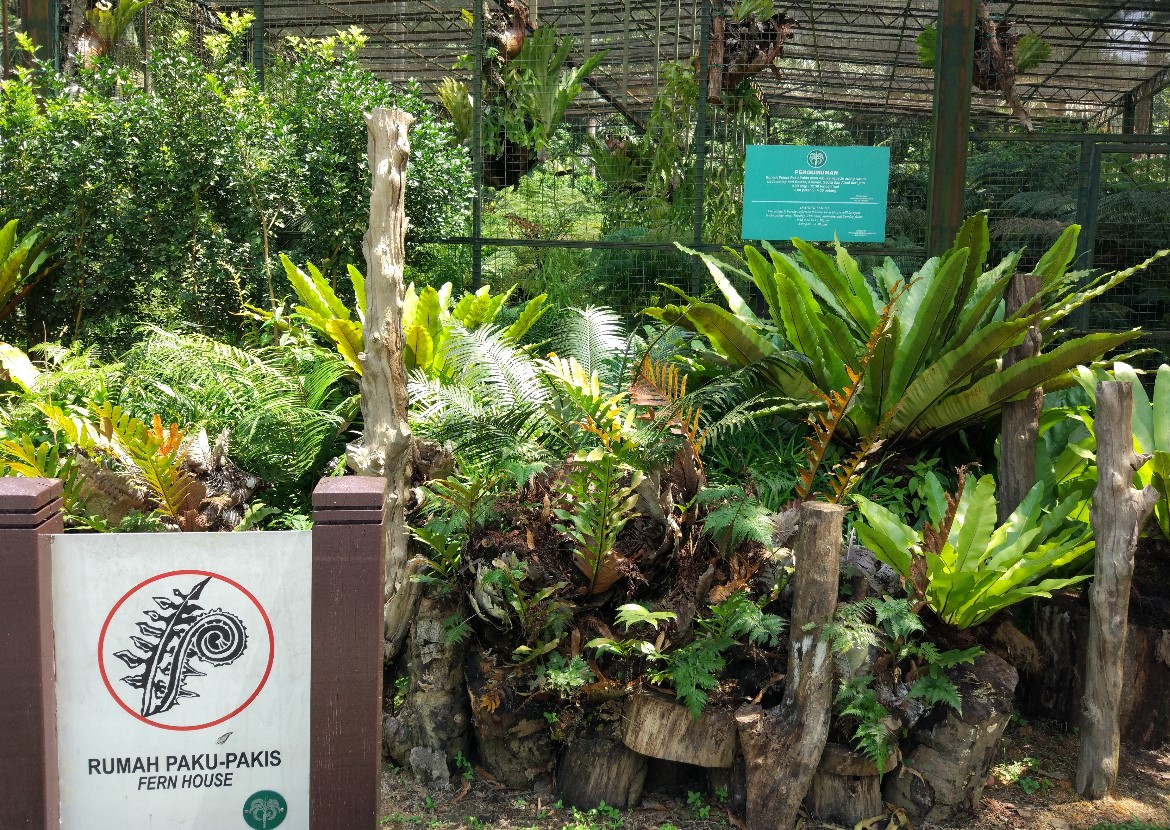 ペナン植物園 エントピア バタフライファーム ツアー 昼食は付きません ペナン島 マレーシア のお得なオプショナルツアー Hisgo アメリカ ペナン植物園 エントピア バタフライファーム ツアー 昼食は付きません ペナン島 マレーシア のお得なオプショナルツアー Hisgo アメリカ
