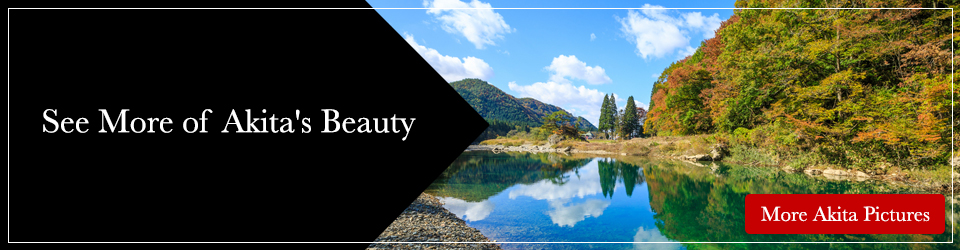See More of Akita's Beauty
