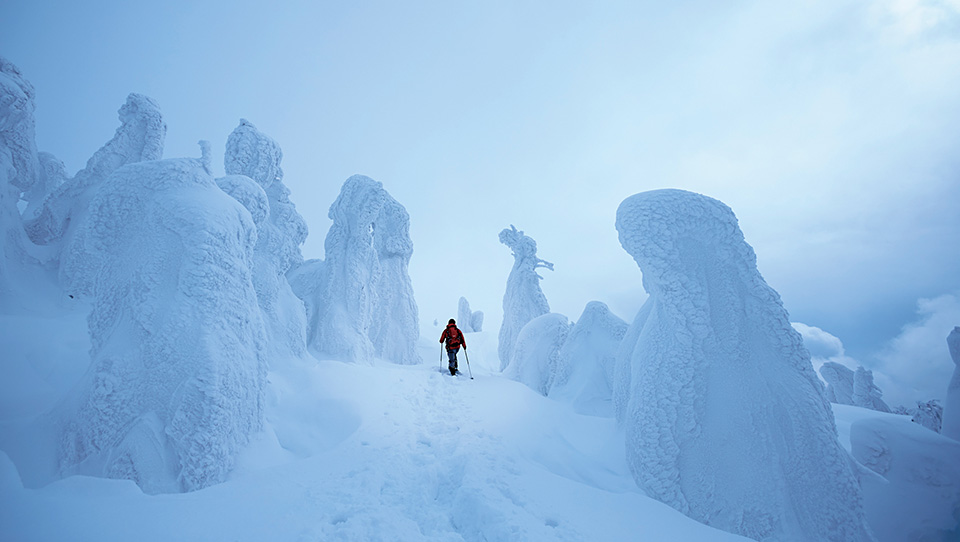 Frost-Covered Trees of Mt. Moriyoshi
